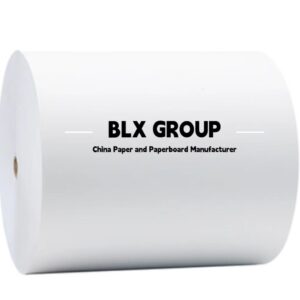 Home-HK Bailianxing Group Limited